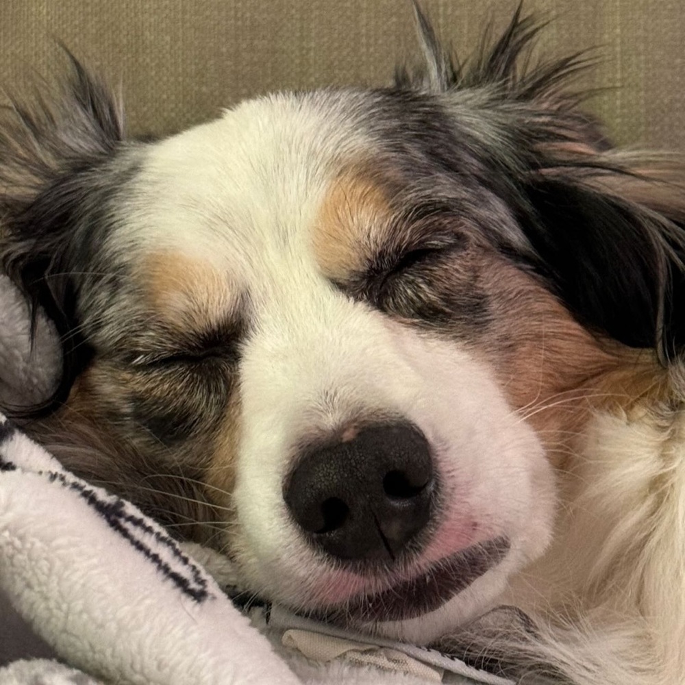 Meet your Posher, Jasmine